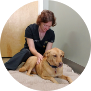 holistic veterinary services