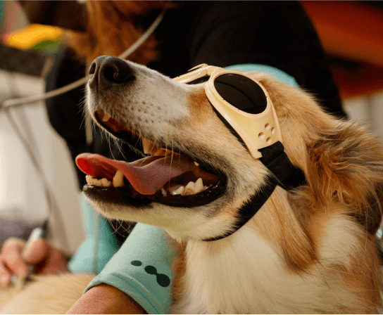 Laser Therapy