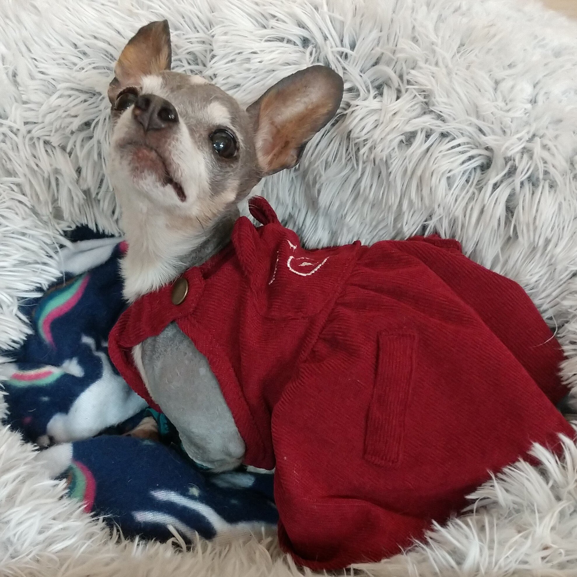 Labella “Blub” – Head of Security and Reception Snack Management