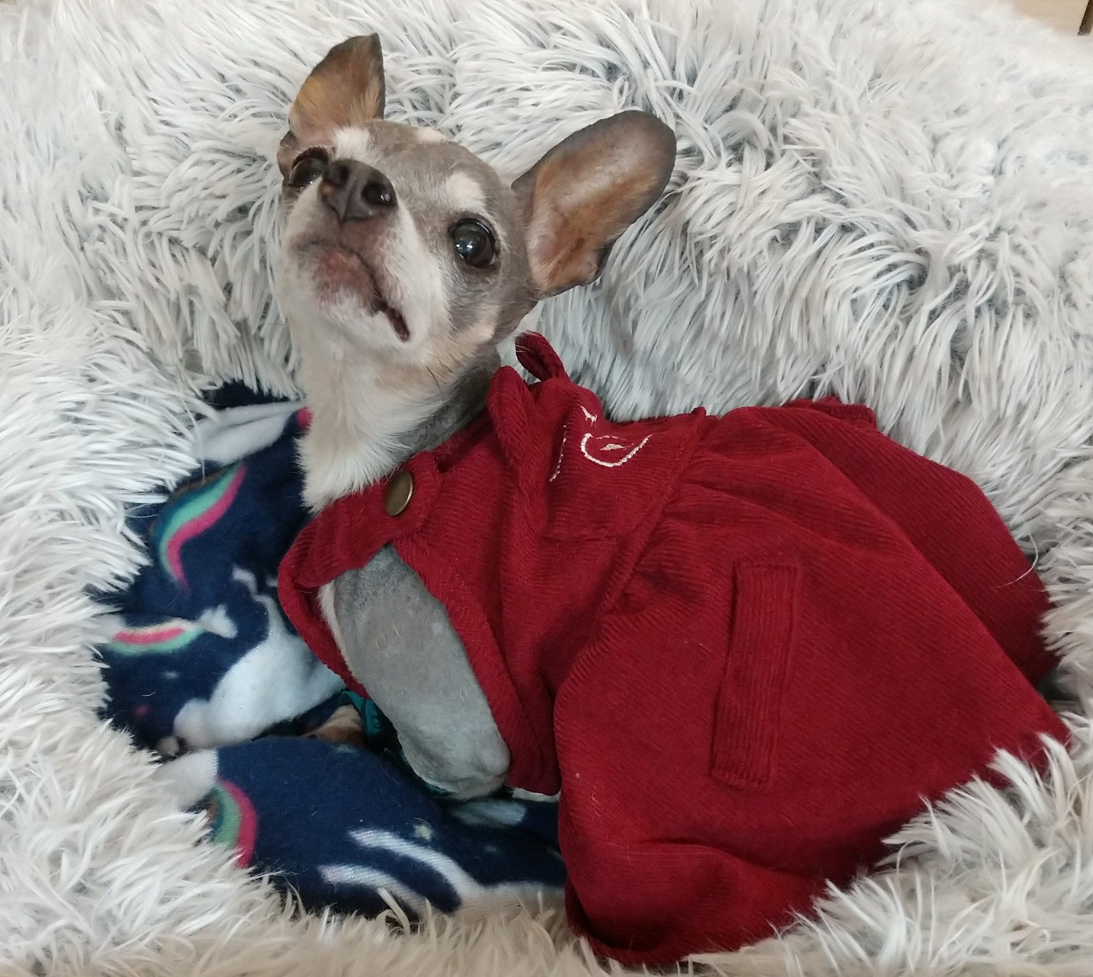 Labella “Blub” – Head of Security and Reception Snack Management