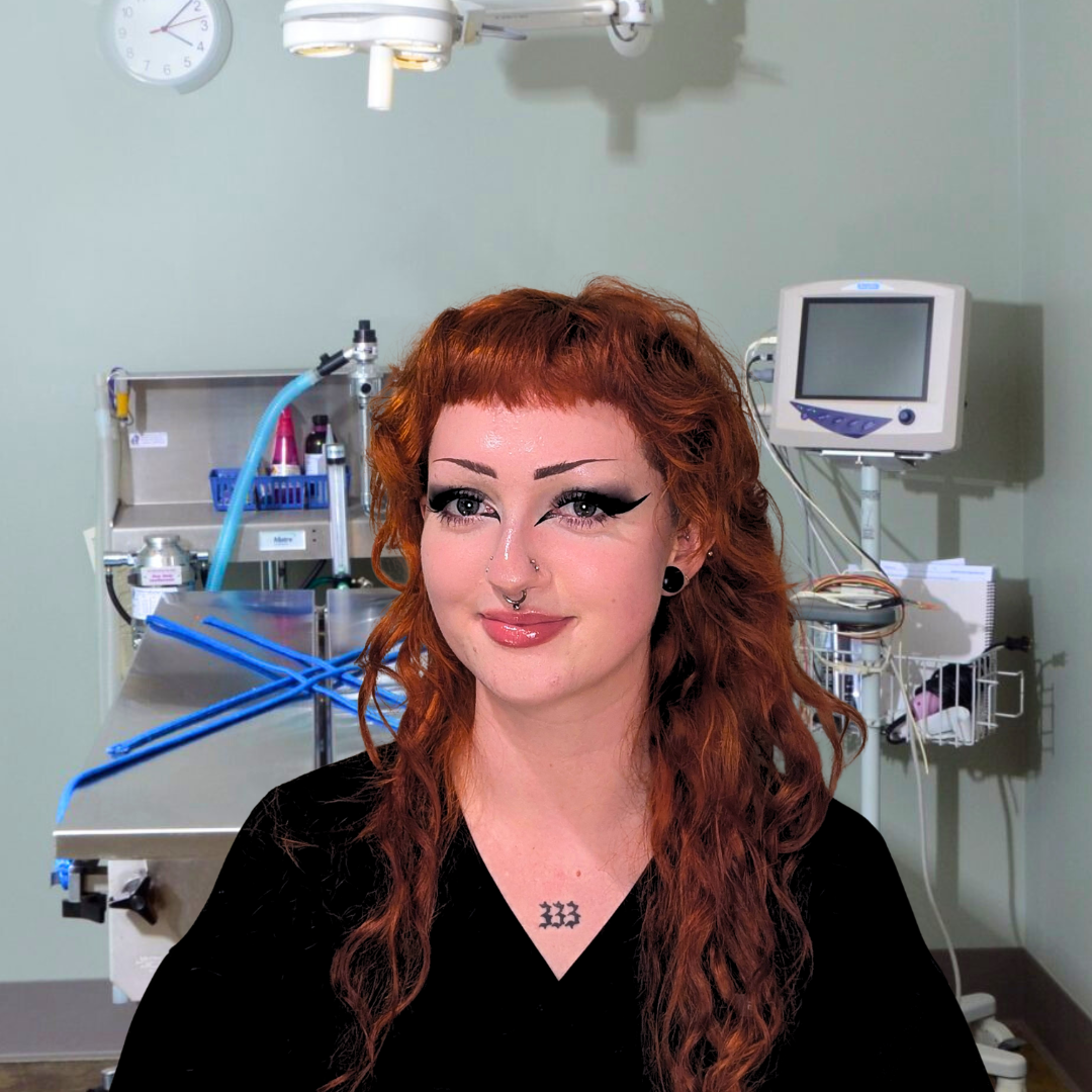 Brooklyn – Surgery Department Lead