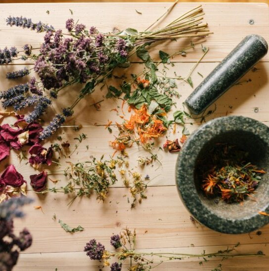 Herbal Therapy